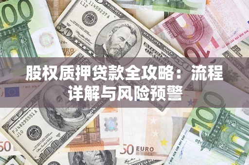 北京股权质押贷款全攻略：流程详解与风险预警