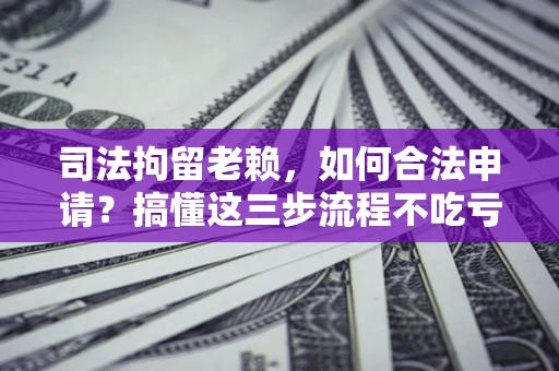 北京司法拘留老赖，如何合法申请？搞懂这三步流程不吃亏！