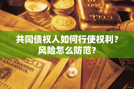 北京共同债权人如何行使权利？风险怎么防范？