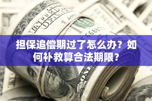 北京担保追偿期过了怎么办？如何补救算合法期限？