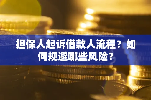 北京担保人起诉借款人流程？如何规避哪些风险？