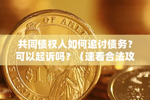 北京共同债权人如何追讨债务？可以起诉吗？（速看合法攻略）