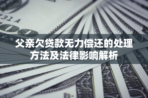 北京父亲欠贷款无力偿还的处理方法及法律影响解析